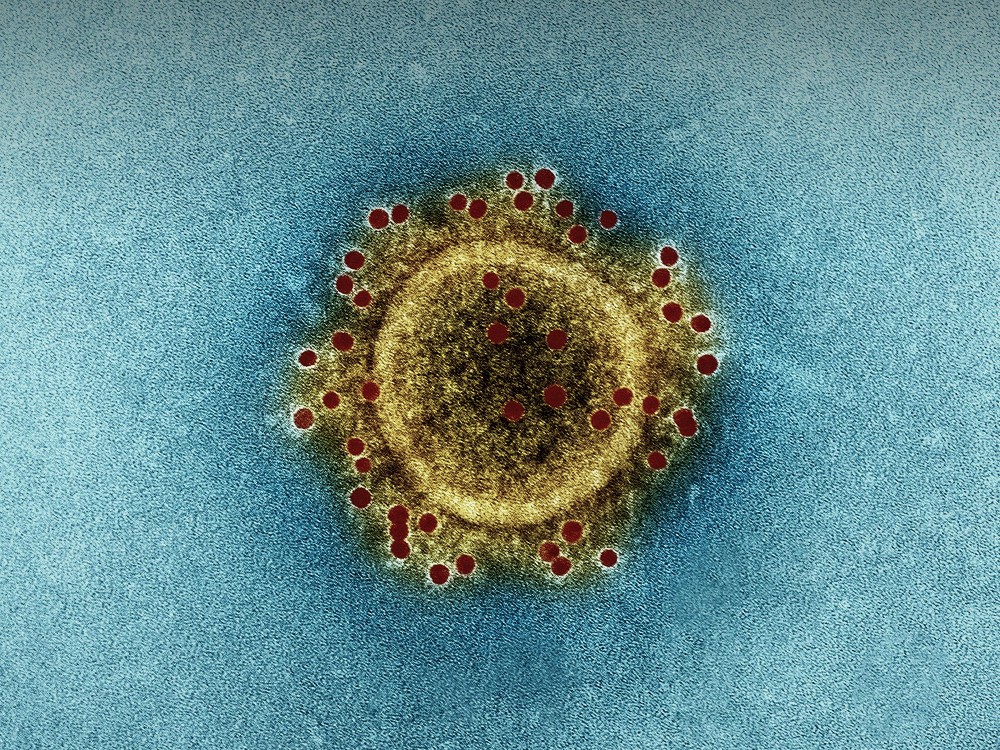 生物学英文系列之——细胞学说