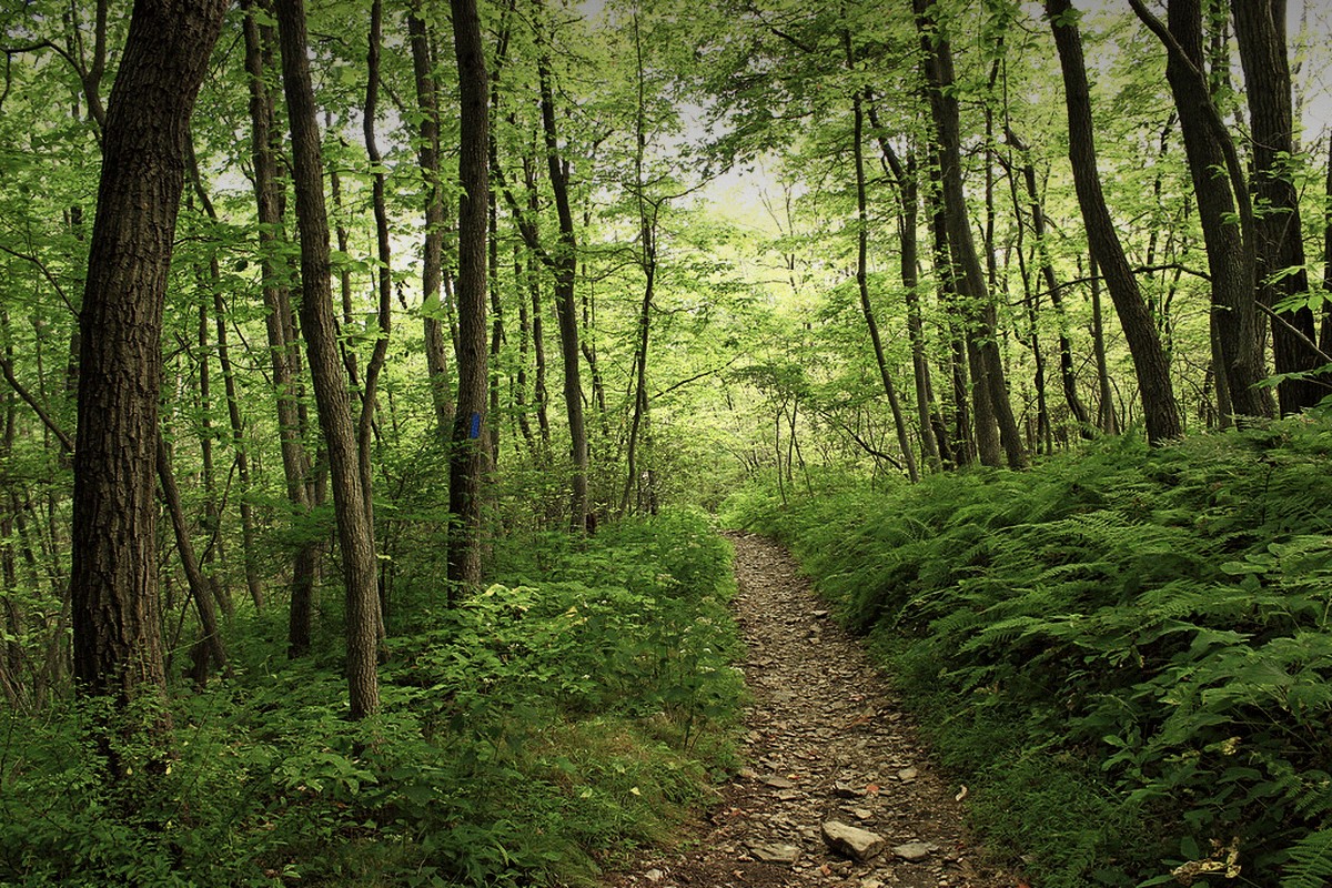 《现代西游记》商务文秘篇之
